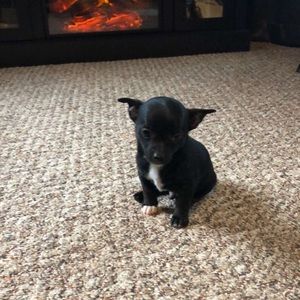 Meet your Posher, Jay